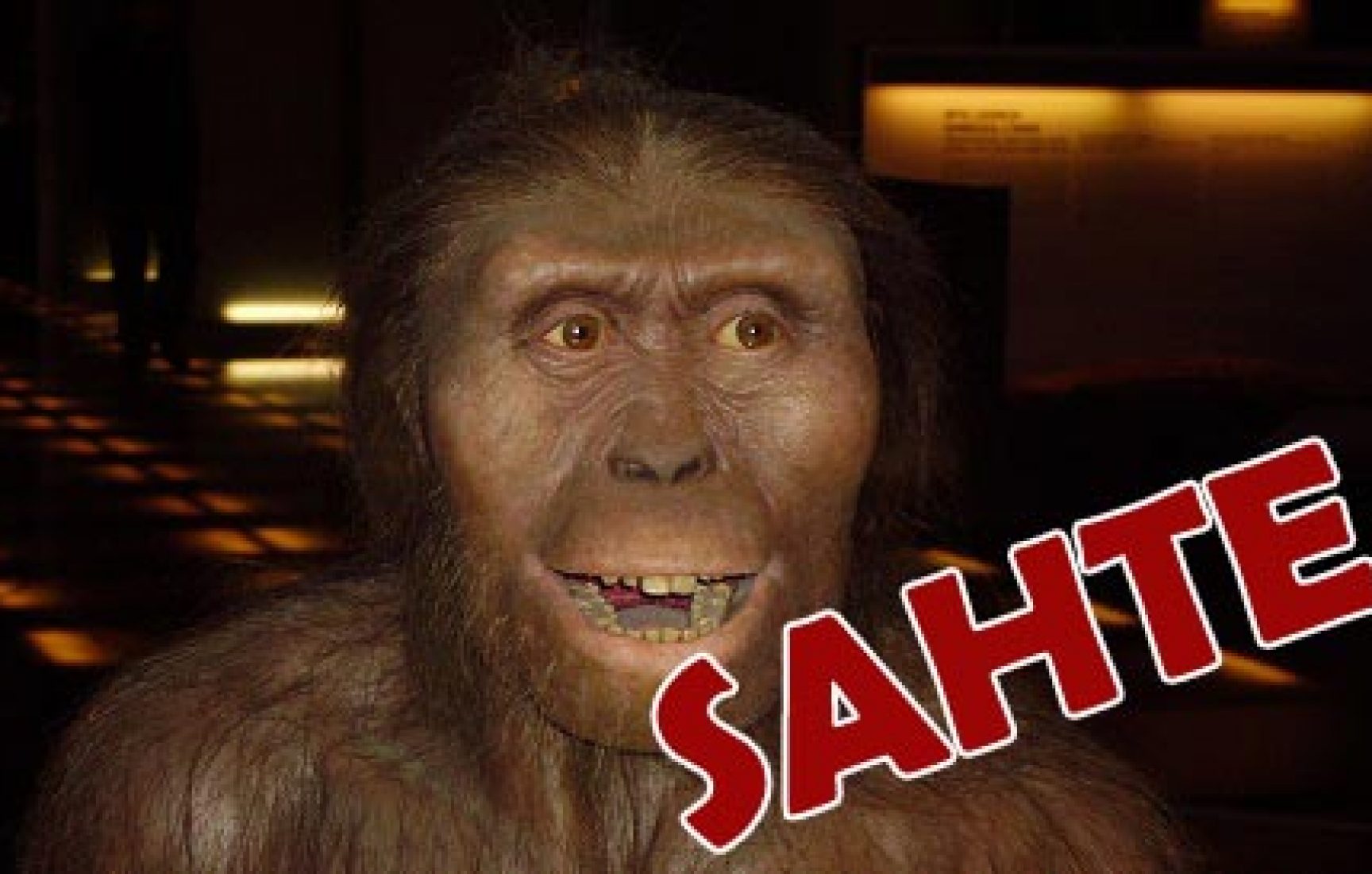 Image result for "güney maymunu" anlamına gelen Australopithecus