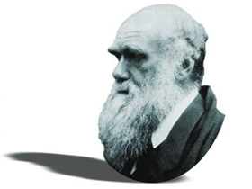 Darwinin-yasam-mucadelesi-yanilgisini-Evrensel-de-kabul-etti