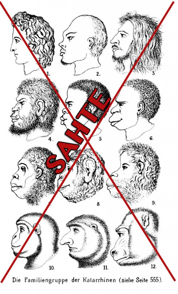 neandertallerle-ayni-hastaliklara-sahip-olmamiz-ne-anlama-gelir-haeckel-races-fake-drawings