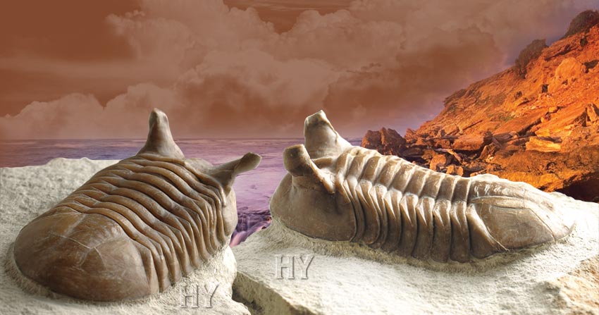 trilobit fosili